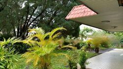 Bukit Timah Road (D10), Detached #498248781